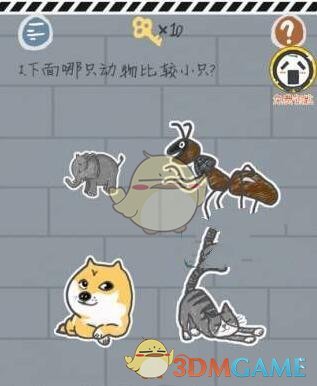 中俄元首签署并发表联合声明
