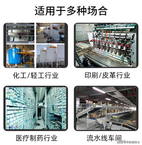 科技賦能，精準分揀 食品凈重全自動在線稱重分揀機的應用與推廣